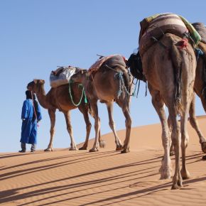 Durch die Wüste&nbsp;…