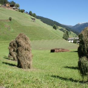Villgraten-Tal – auf den Spuren der&nbsp;Schafe