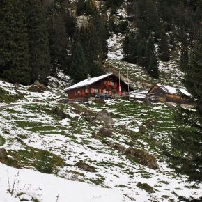 Die Rohr Alpe – Geheimtipp unterm Hohen&nbsp;Kasten
