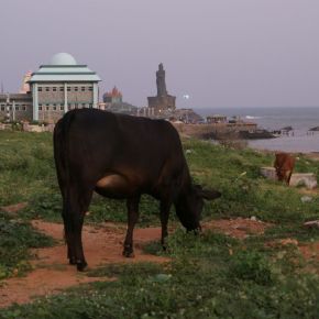 Kanyakumari – Pilgerziel an der Südspitze&nbsp;Indiens