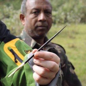 Auf Tigerjagd im Periyar Tiger&nbsp;Reserve