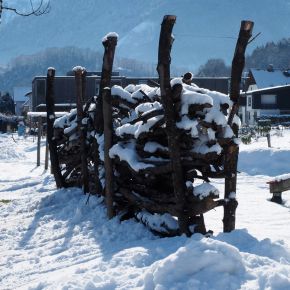 Wundrig im Winterschlaf?