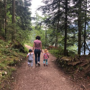 Der Weg geht&nbsp;weiter